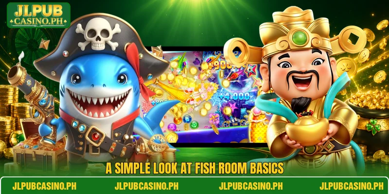 A simple look at Fish room basics A simple look at Fish room basics